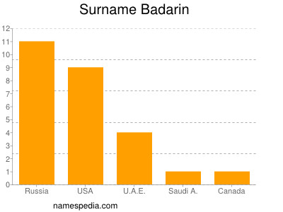 Familiennamen Badarin