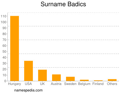 Familiennamen Badics