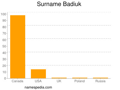 nom Badiuk