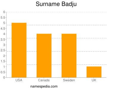 Familiennamen Badju