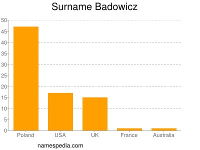 Familiennamen Badowicz