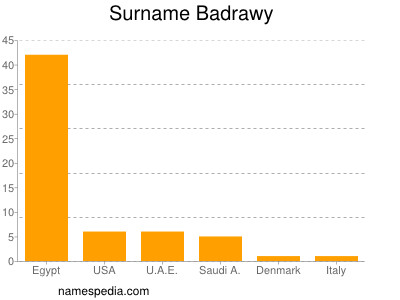 Familiennamen Badrawy