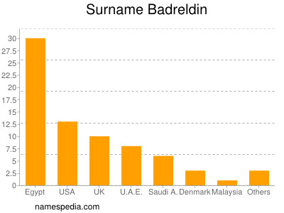 Surname Badreldin