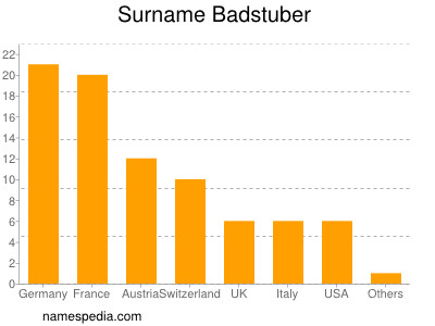 Surname Badstuber