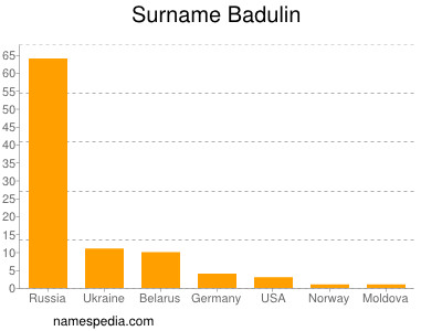 Familiennamen Badulin