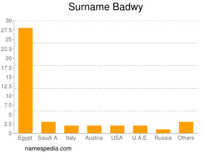 Surname Badwy
