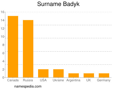 Familiennamen Badyk