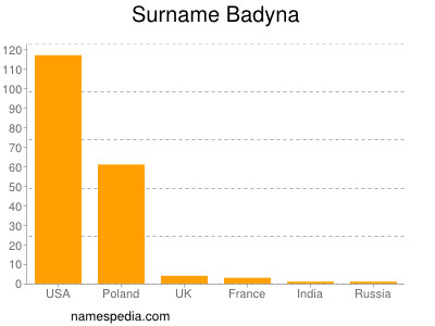 Familiennamen Badyna