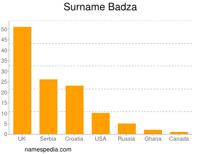 Surname Badza