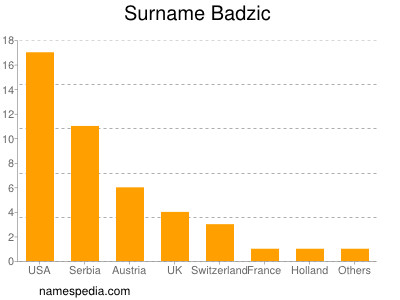 Familiennamen Badzic