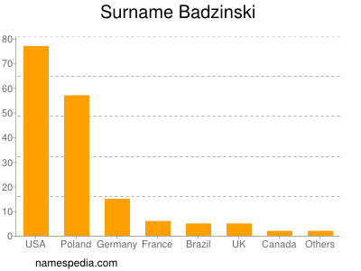 Familiennamen Badzinski