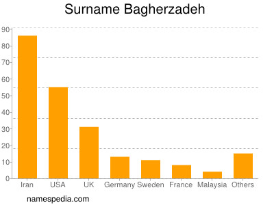 Surname Bagherzadeh