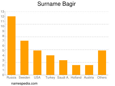 Familiennamen Bagir