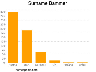 Surname Bammer