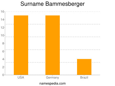 Surname Bammesberger