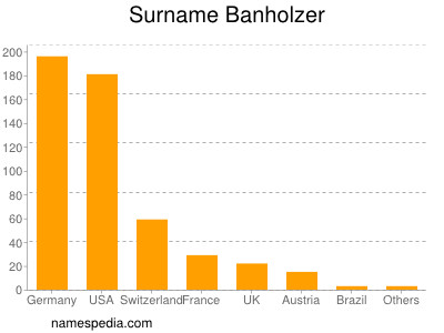 Surname Banholzer