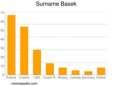 Surname Basek