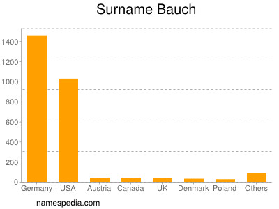 Familiennamen Bauch