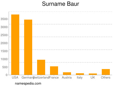Familiennamen Baur