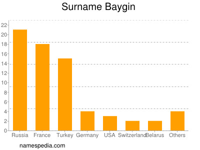 Familiennamen Baygin