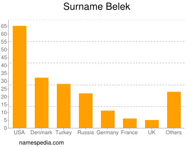 Surname Belek