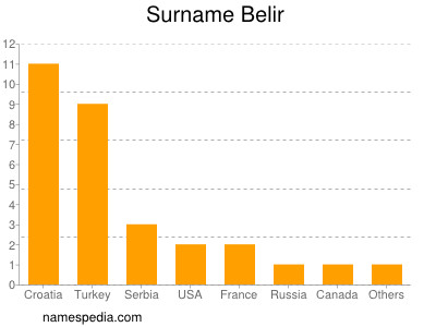 Surname Belir