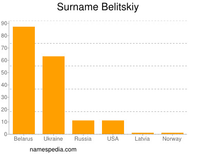 Familiennamen Belitskiy