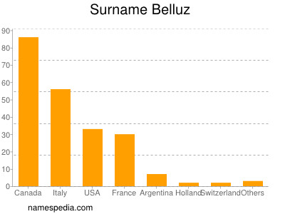 Familiennamen Belluz