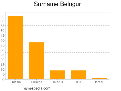 Familiennamen Belogur