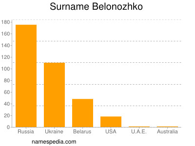 Familiennamen Belonozhko