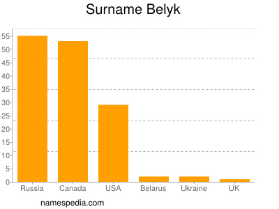 Familiennamen Belyk