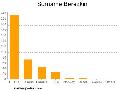 Familiennamen Berezkin