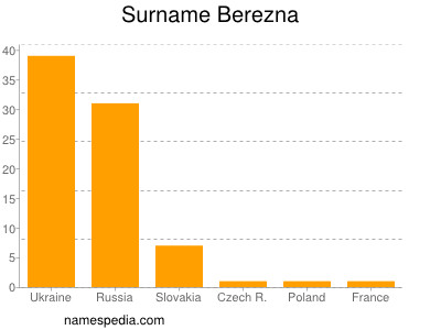 Familiennamen Berezna