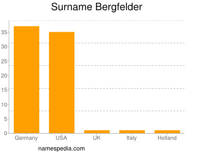 Familiennamen Bergfelder