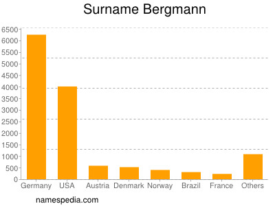 Surname Bergmann