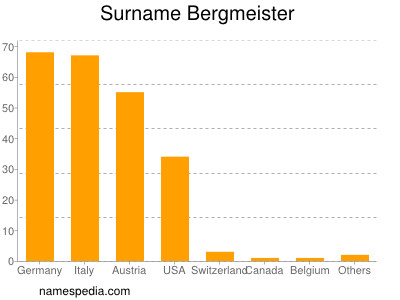 Familiennamen Bergmeister
