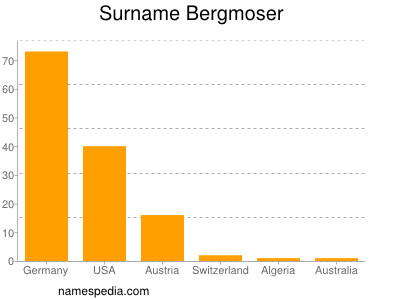 Familiennamen Bergmoser