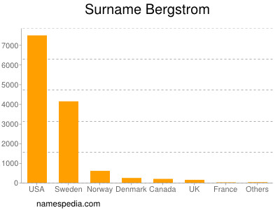 Familiennamen Bergstrom