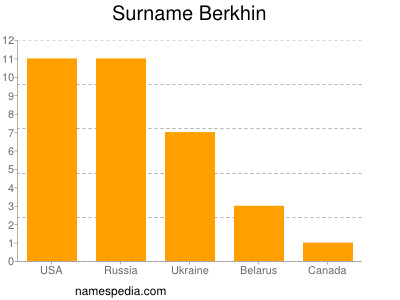 Surname Berkhin