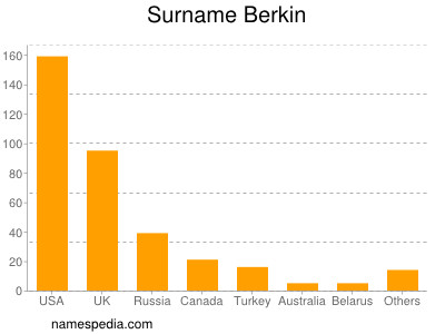 Familiennamen Berkin