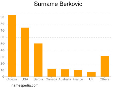 Surname Berkovic