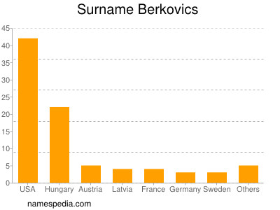 Familiennamen Berkovics