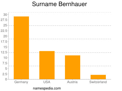 Familiennamen Bernhauer