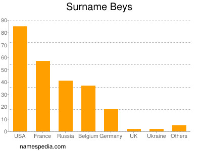 Surname Beys