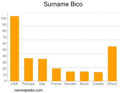 Familiennamen Bico