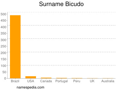 Familiennamen Bicudo