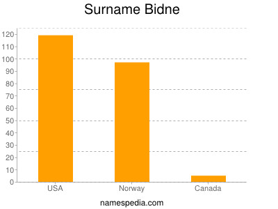 Familiennamen Bidne