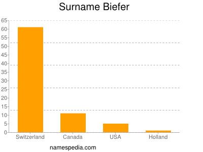 Familiennamen Biefer