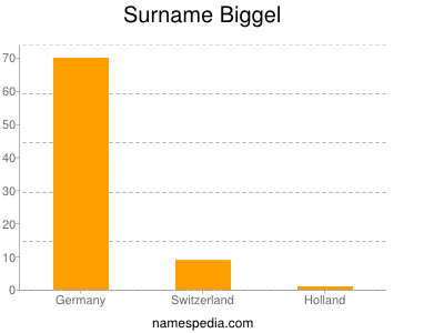 Surname Biggel