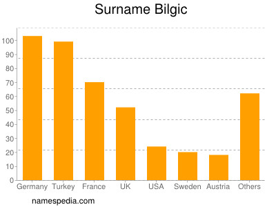 Familiennamen Bilgic